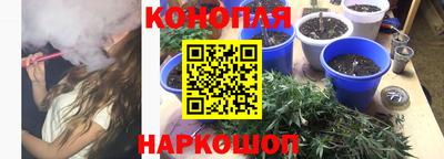 Альфа ПВП Нальчик