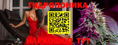 Альфа ПВП Нальчик