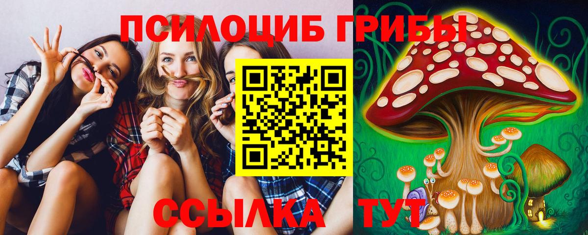 Свободный  Галлюциногенные грибы Psilocybine cubensis  Вход с VPN 