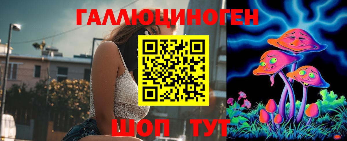 Галлюциногенные грибы Psilocybe Свободный
